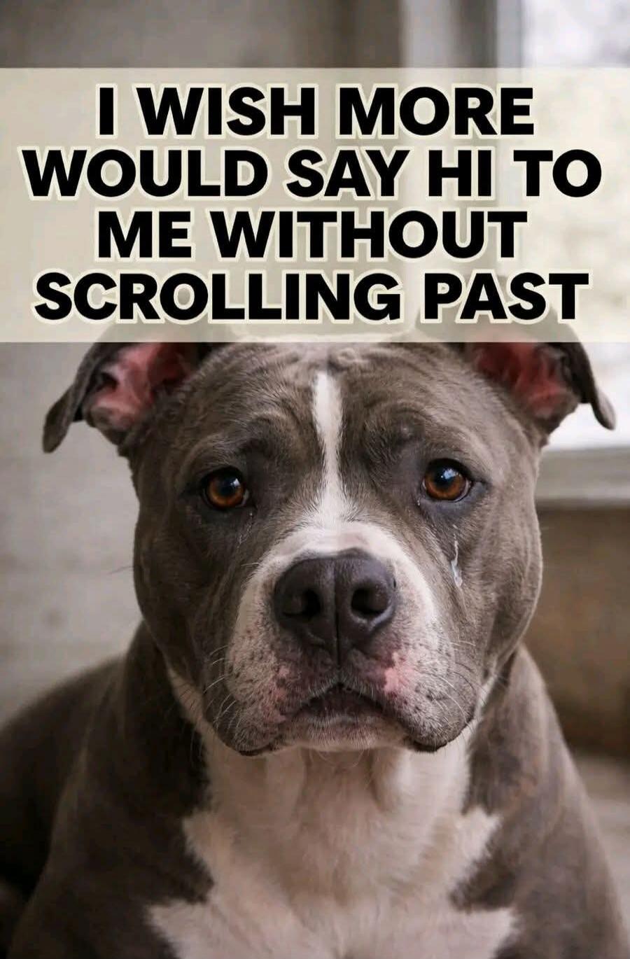 I WISH MORE WOULD SAY HI TO ME WITHOUT SCROLLING PAST