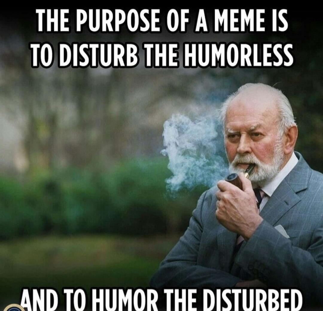 THE PURPOSE OF A MEME IS TO DISTURB THE HUMORLESS AND TO HUMOR THE DISTURBED