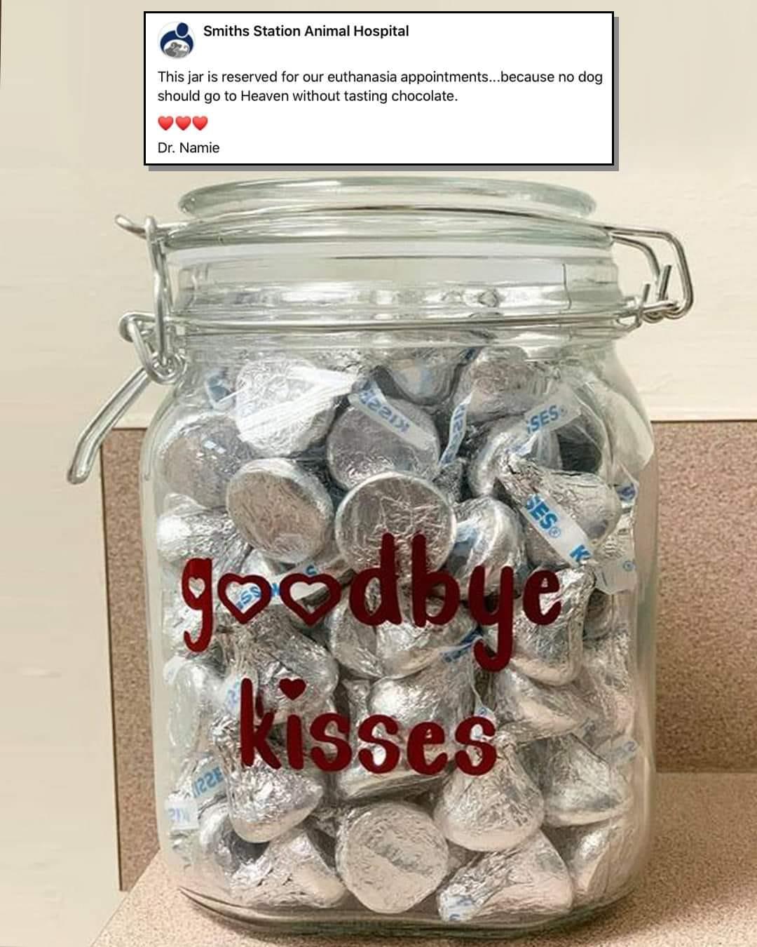 Smiths Station Animal Hospital This jar is reserved for our euthanasia appointmentsbecause no dog should go to Heaven without tasting chocolate Dr Namie