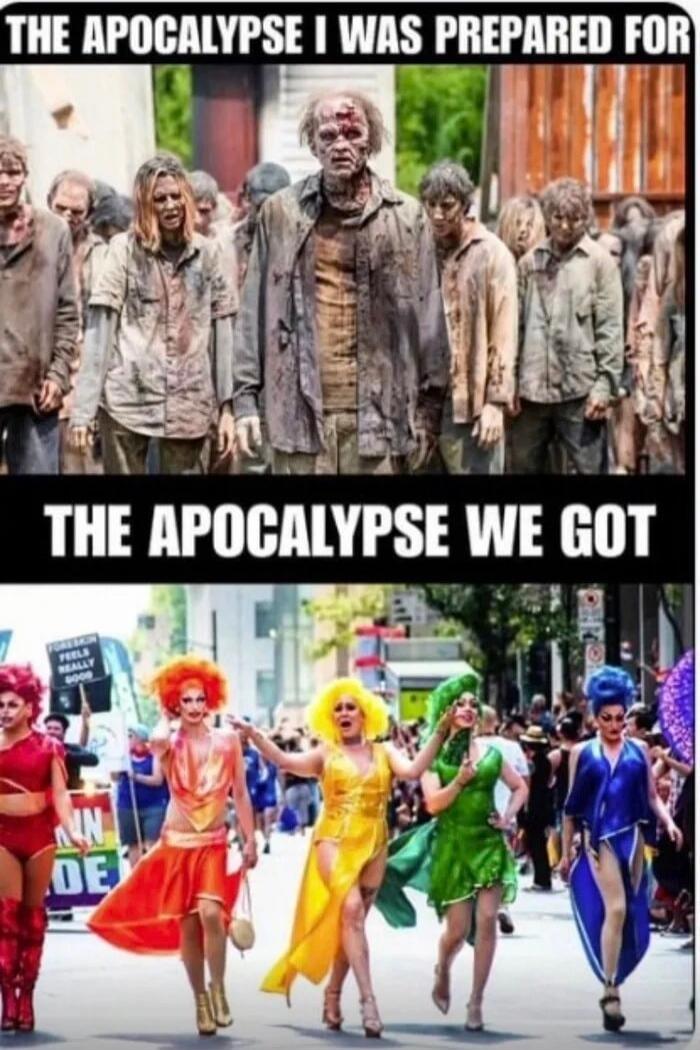 THE APOCALYPSE I WAS PREPARED FOR THE APOCALYPSE WE GOT FORESKIN FEELS REALLY GOOD