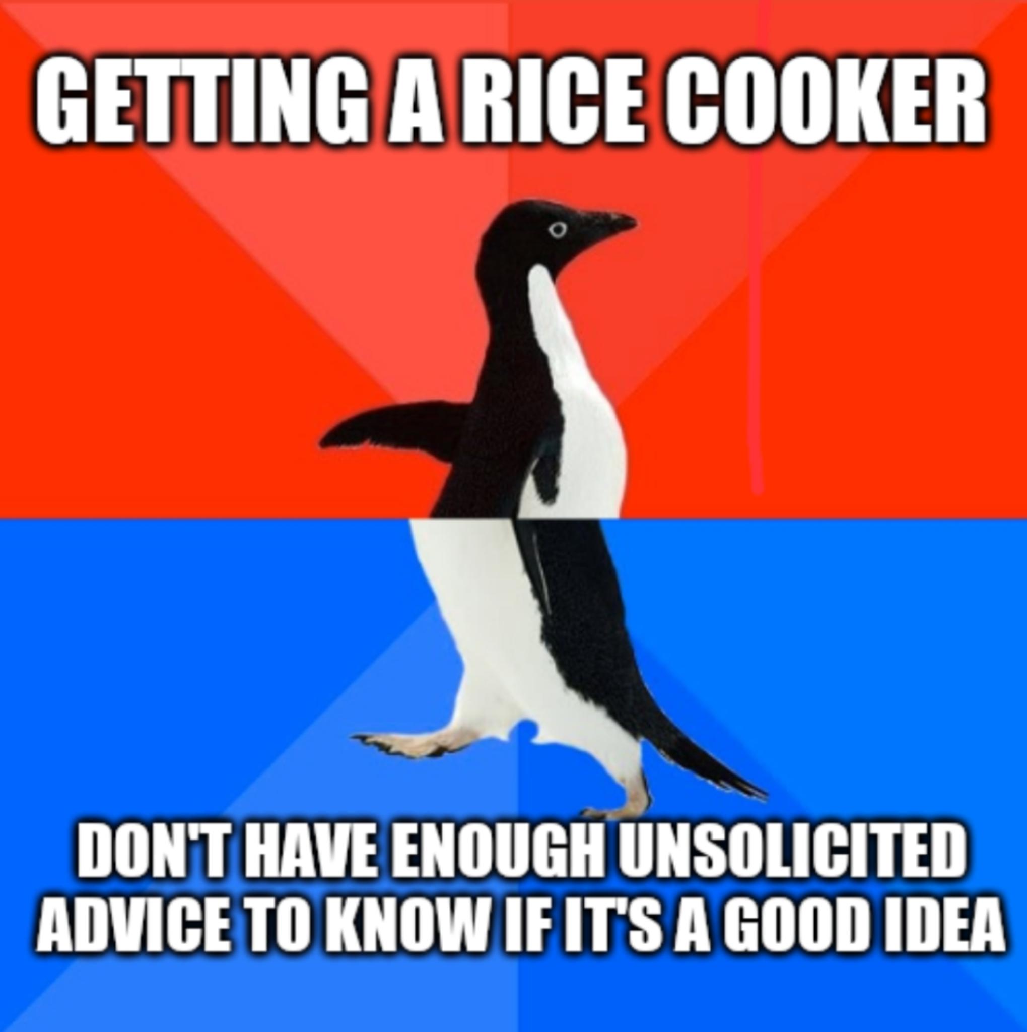 GETTINGARICE COOKER DONT HAVE ENOUGH UNSOLICITED ADVIGE TO KNOW IFITS A GOOD IDEA