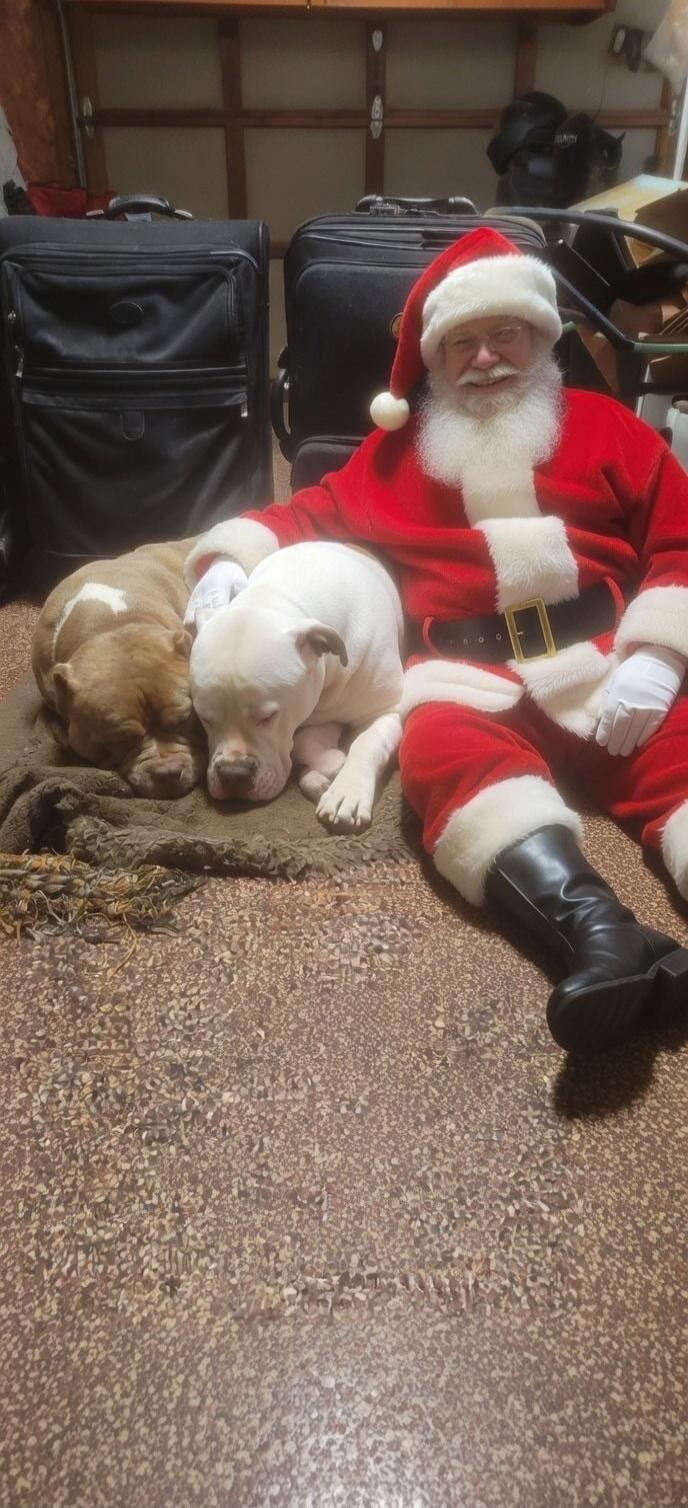 A man dressed as Santa Claus sitting on the ground beside two sleeping dogs in a garage.