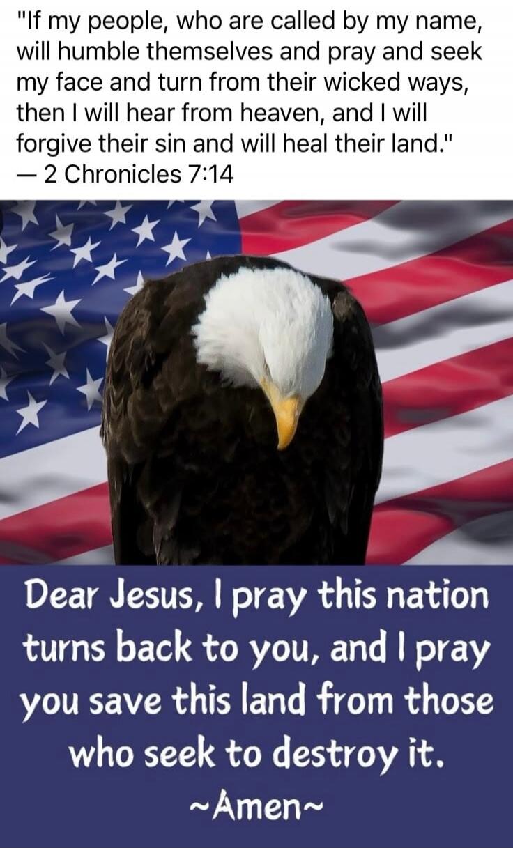 If my people, who are called by my name, will humble themselves and pray and seek my face and turn from their wicked ways, then I will hear from heaven, and I will forgive their sin and will heal their land. — 2 Chronicles 7:14 Dear Jesus, I pray this nation turns back to you, and I pray you save this land from those who seek to destroy it. Amen.