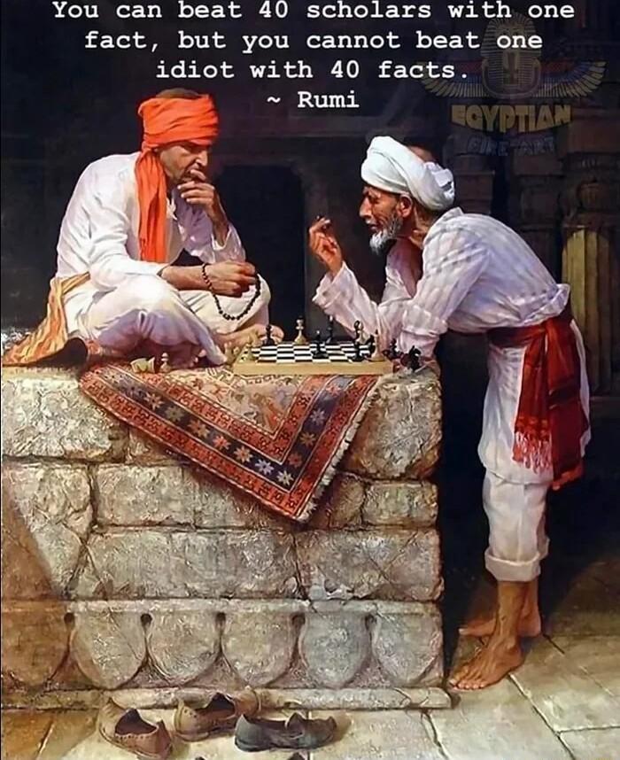 You can beat 40 scholars with one fact but you cannot beat one idiot with 40 facts Rumi