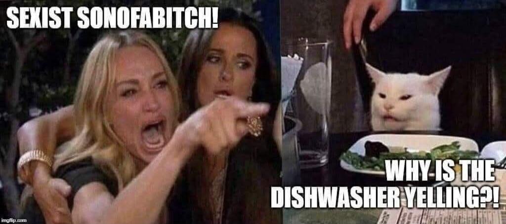 SEXIST SONOFABITCH! WHY IS THE DISHWASHER YELLING?!