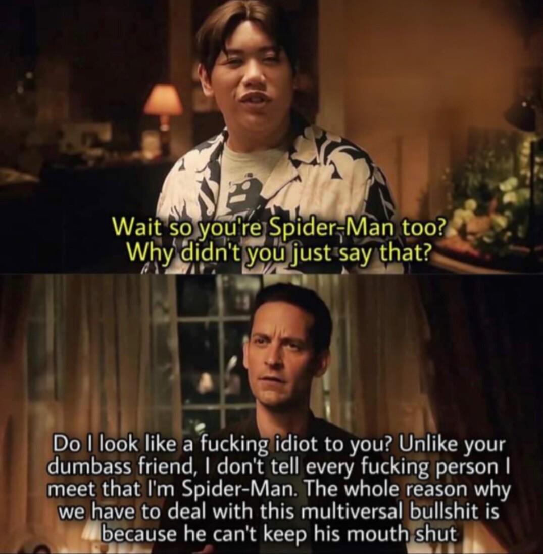 1T ghl 1 Do Ilook like afucking idiot to you Unlike your dumbass friend dont tell every fucking person meet that Im Spider Man The whole reason why we have to deal with this multiversal bullshit is ubeause he cant keep his mouthjshut g