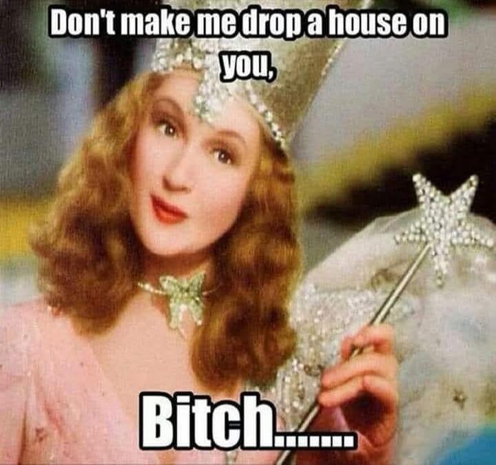 Don't make me drop a house on you, Bitch.......