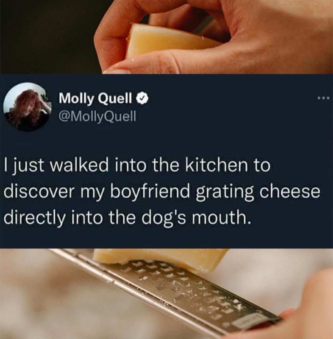 n Molly Quell X MollyQuell just walked into the kitchen to discover my boyfriend grating cheese directly into the dogs mouth