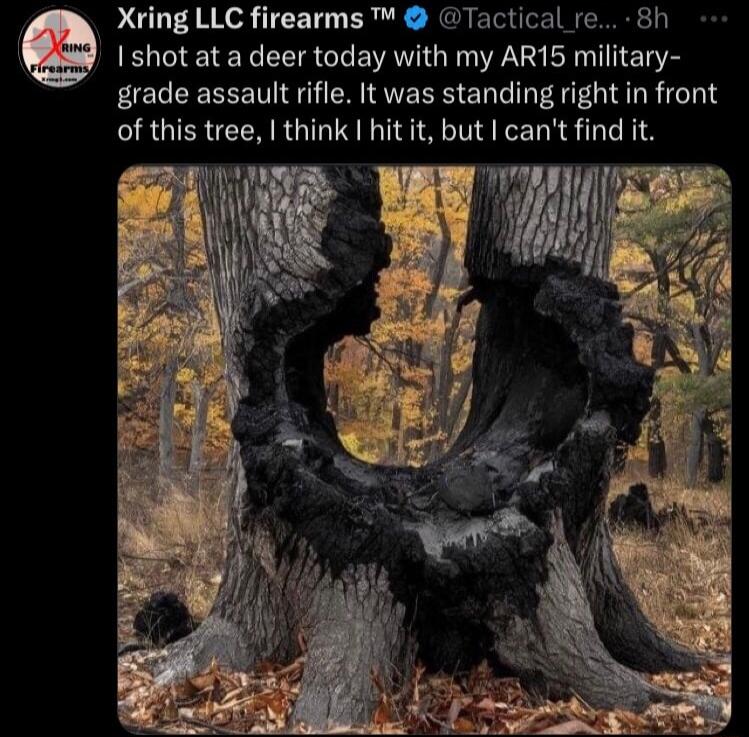 I shot at a deer today with my AR15 military grade assault rifle It was standing right in front of this tree think hitit but cant find it Xring LLC firearms Tactical re 8h