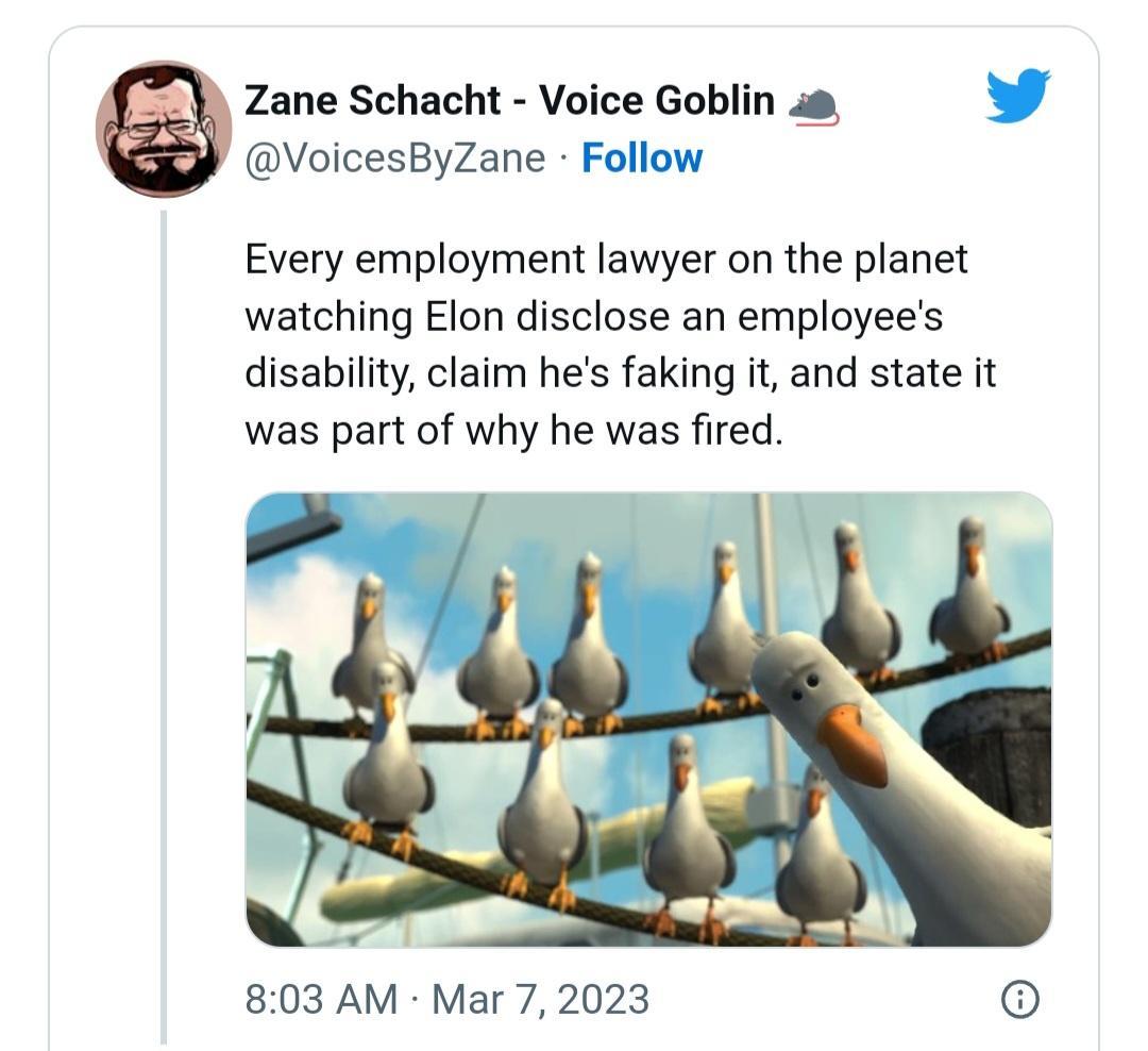 e Zane Schacht Voice Goblin s L4 VoicesByZane Follow Every employment lawyer on the planet watching Elon disclose an employees disability claim hes faking it and state it was part of why he was fired 803 AM Mar 7 2023 6