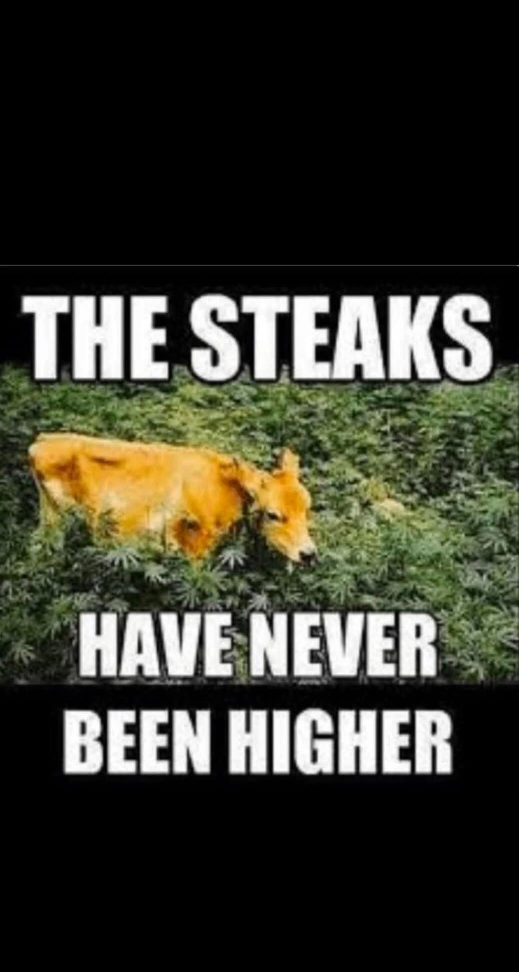 THE STEAKS HAVE NEVER BEEN HIGHER