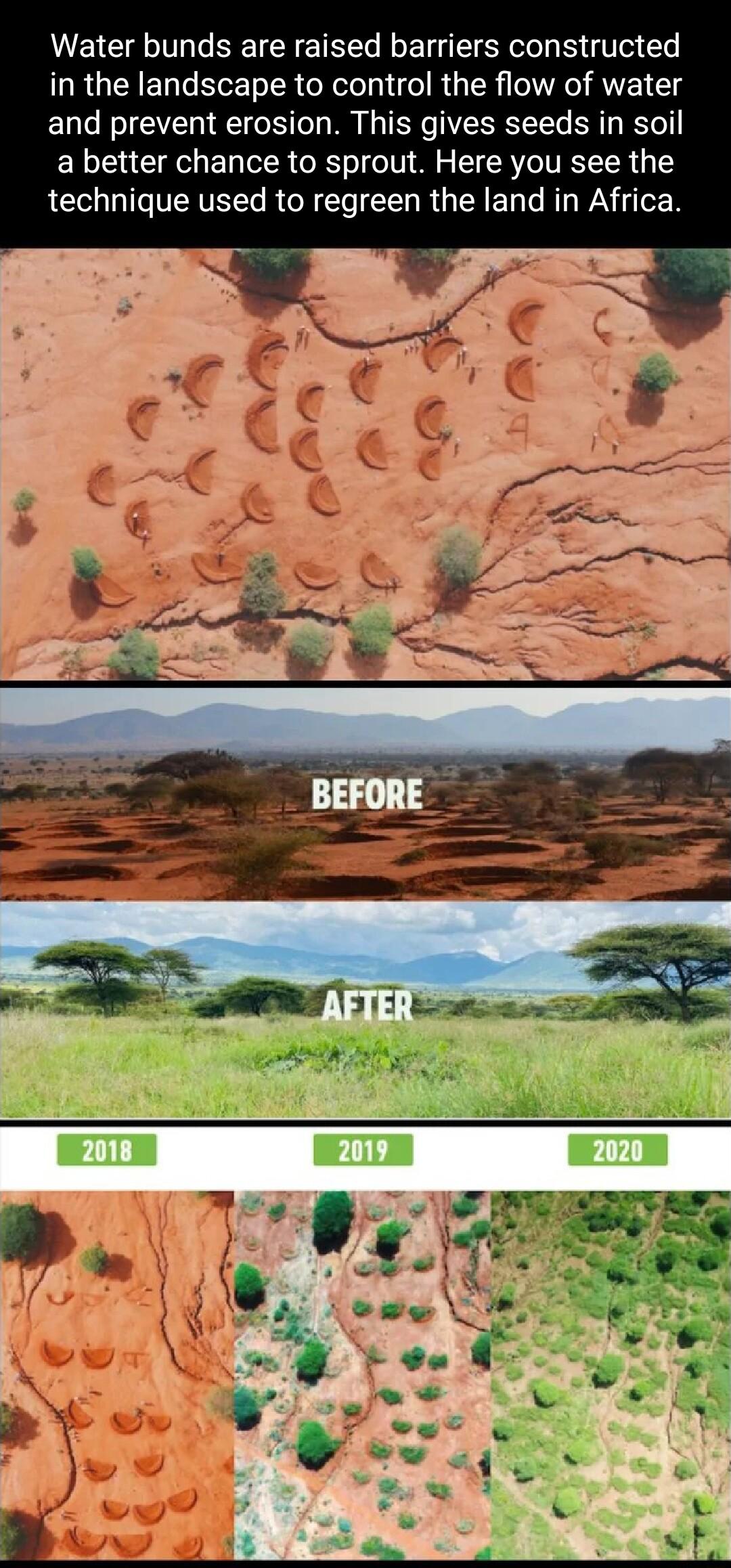 Water bunds are raised barriers constructed in the landscape to control the flow of water and prevent erosion This gives seeds in soil a better chance to sprout Here you see the technique used to regreen the land in Africa