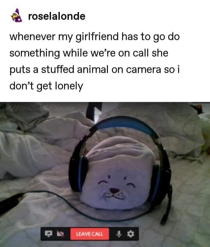 roselalonde whenever my girlfriend has to go do something while were on call she puts a stuffed animal on camera so i dont get lonely