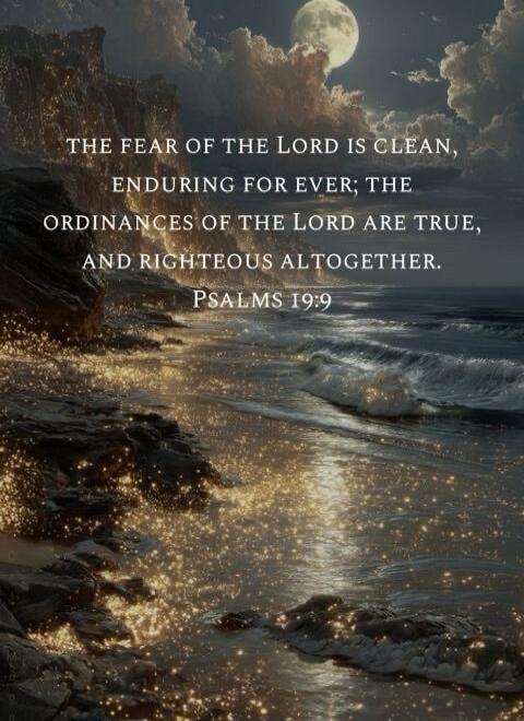THE FEAR OF THE LORD IS CLEAN, ENDURING FOR EVER; THE ORDINANCES OF THE LORD ARE TRUE, AND RIGHTEOUS ALTOGETHER. PSALMS 19:9