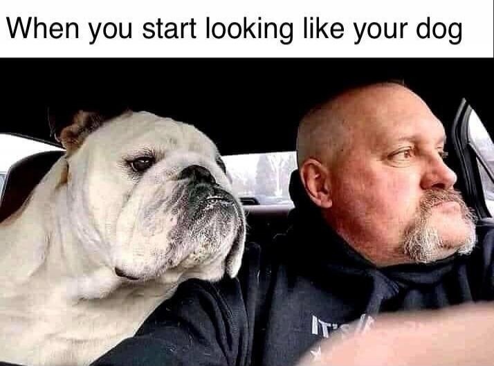 When you start looking like your dog