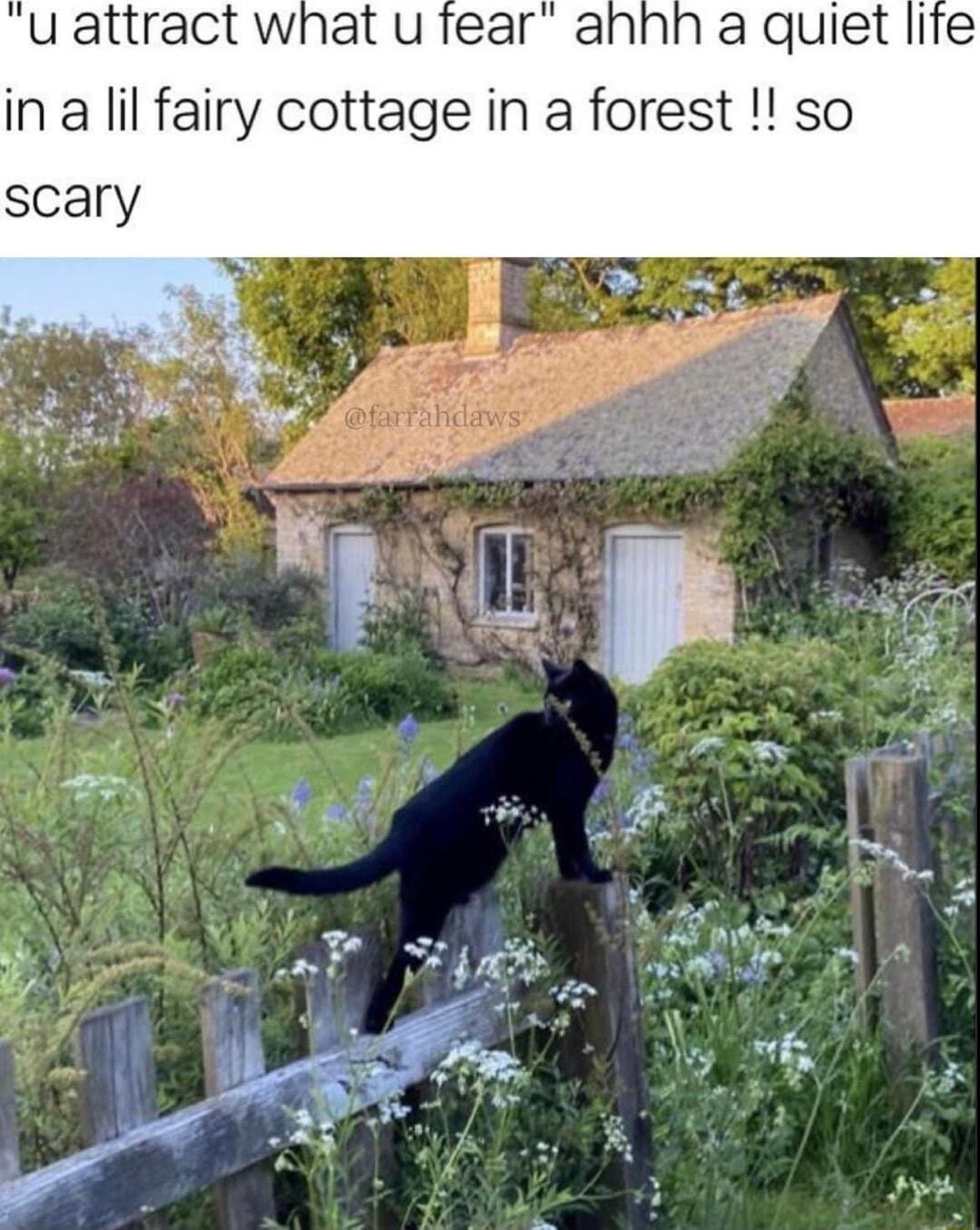 u attract what u fear al aquiet life in a lil fairy cottage in a forest so scary