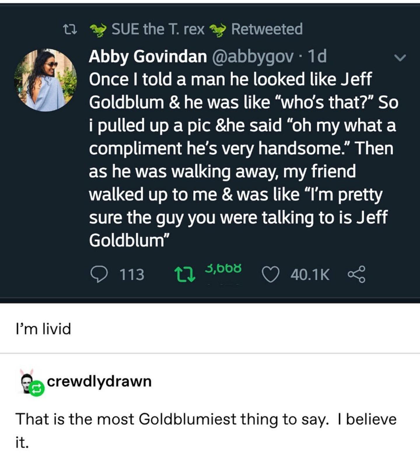 1 SUE the T rex Retweeted Abby Govindan abbygov 1d Once told a man he looked like Jeff Goldblum he was like whos that So i pulled up a pic he said oh my what a compliment hes very handsome Then as he was walking away my friend walked up to me was like Im pretty R GER AT TR R e TR CR N Goldblum O 113 Q 401K rm livid b crewdlydrawn That is the most Goldblumiest thing to say believe it