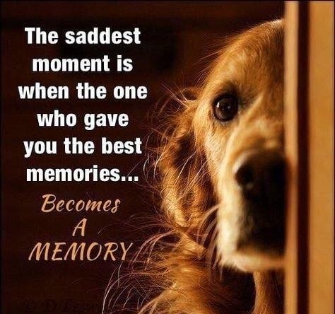 The saddest moment is when the one who gave you the best memories Becomes MEMORY 122