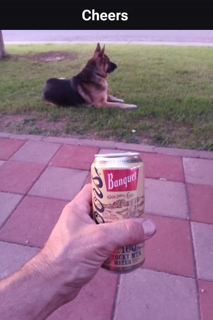 Cheers. Banquet Golden Coors 100% Rocky Mtn. Water