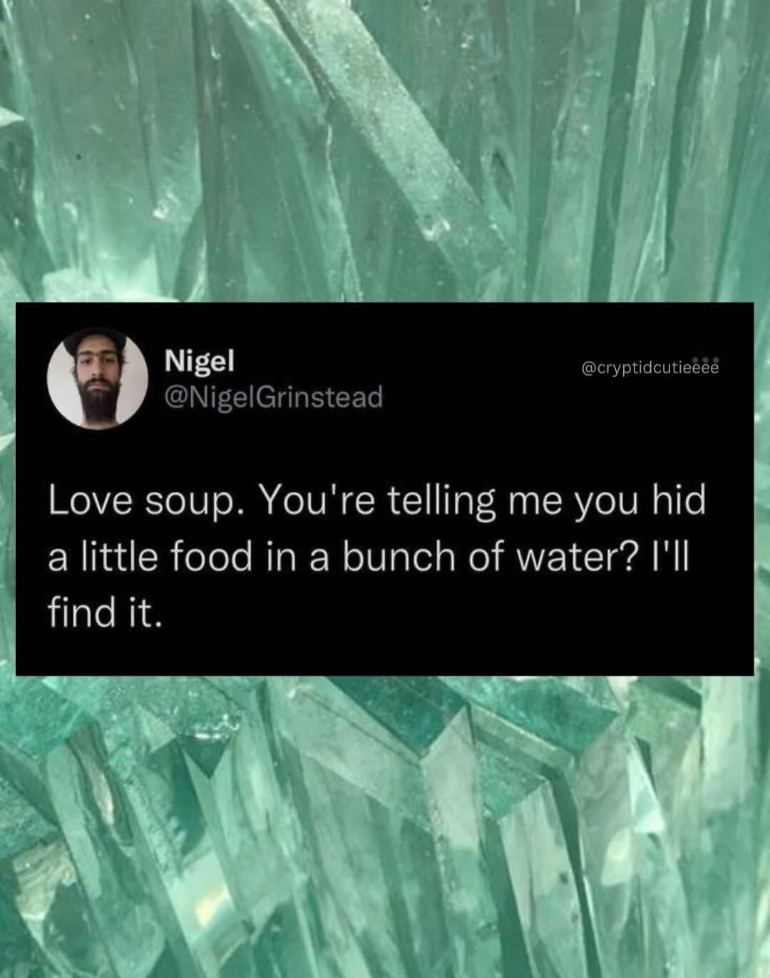 Nigel @NigelGrinstead @cryptidcutieeee Love soup. You're telling me you hid a little food in a bunch of water? I'll find it.