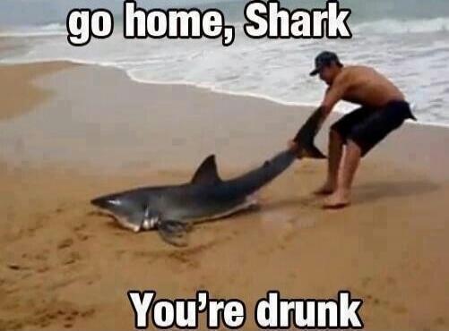 go home, Shark. You're drunk.