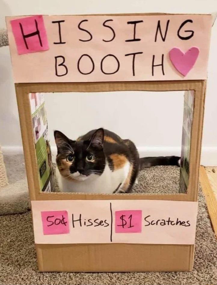 WIsSSING BOOTHY Sok Hisses BL Scrathes