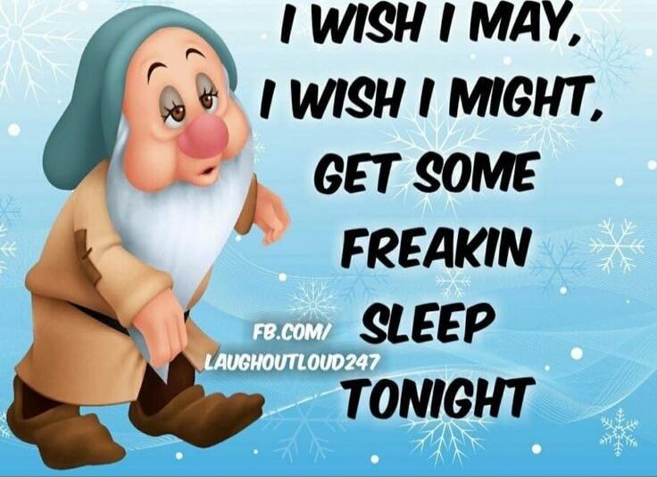 I WISH I MAY, I WISH I MIGHT, GET SOME FREAKIN SLEEP TONIGHT