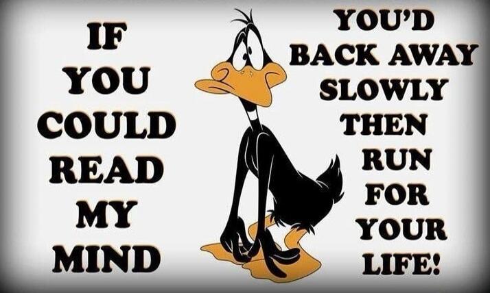 IF YOU COULD READ MY MIND YOU'D BACK AWAY SLOWLY THEN RUN FOR YOUR LIFE!
