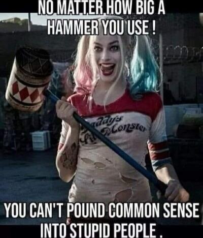 NO MATTER HOW BIG A HAMMER YOU USE! YOU CAN'T POUND COMMON SENSE INTO STUPID PEOPLE.