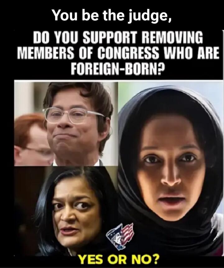 You be the judge, DO YOU SUPPORT REMOVING MEMBERS OF CONGRESS WHO ARE FOREIGN-BORN? YES OR NO?