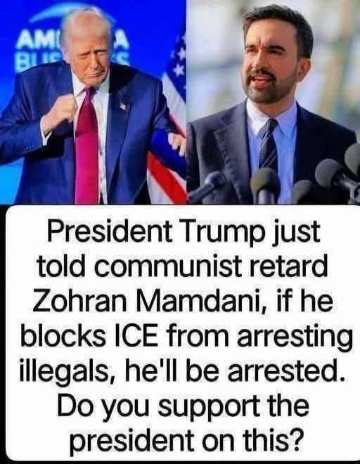 President Trump just told communist retard Zohran Mamdani, if he blocks ICE from arresting illegals, he'll be arrested. Do you support the president on this?