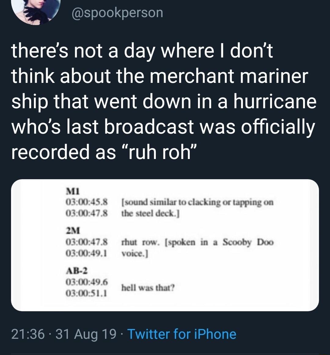 Y LU TEICEE Tol e Ne VAW LT R e o g i think about the merchant mariner ship that went down in a hurricane R ER R oo T IS AWE RN eI 111 recorded as ruh roh M 0300478