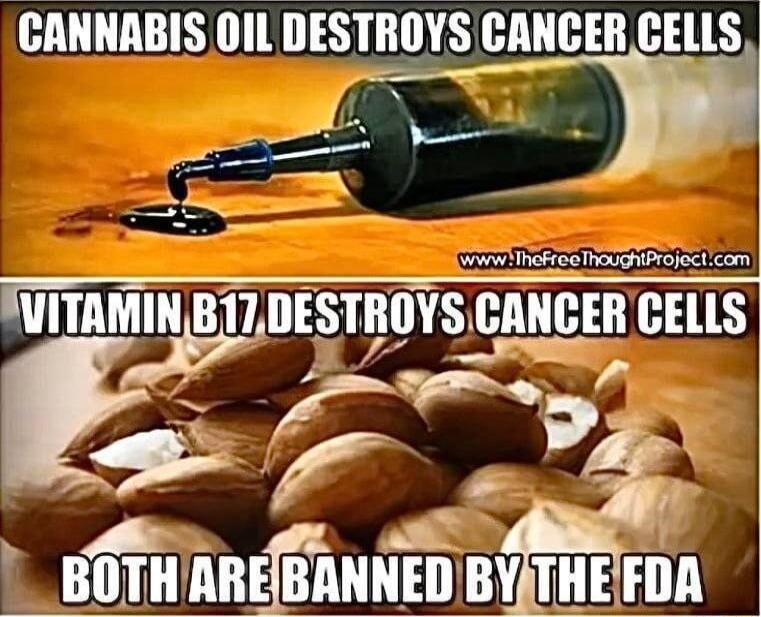 CANNABIS 0IL IlESlIIllYS HLHIHATE vvow hncFrco houghtProjectcom IITAMINB17DE S Il SAGAHEEBCEIIS fuuin