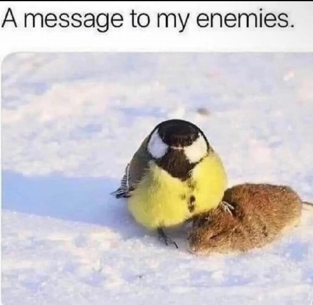 A message to my enemies.