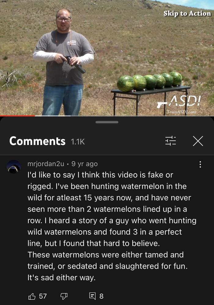 of1 1 T 1 S3REIS mrjordan2u 9 yr ago Id like to say think this video is fake or rigged Ive been hunting watermelon in the wild for atleast 15 years now and have never seen more than 2 watermelons lined up in a row heard a story of a guy who went hunting wild watermelons and found 3 in a perfect GERLTARGTLGRGEIGEIGRGE RIS These watermelons were either tamed and LETECACIEELEICL EN T IR CIR TN Its sa