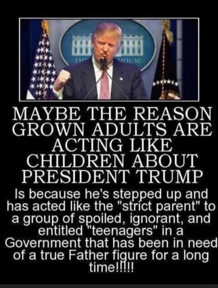 MAYBE THE REASON GROWN ADULTS ARE ACTING LIKE CHILDREN ABOUT PRESIDENT TRUMP Is because he's stepped up and has acted like the 