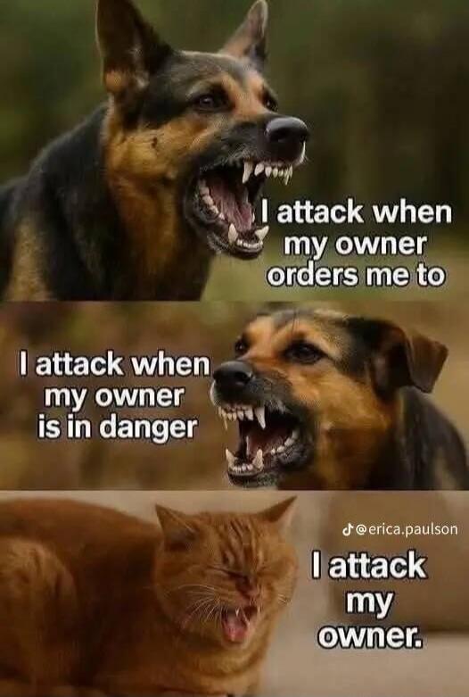I attack when my owner orders me to
I attack when my owner is in danger
I attack my owner.
