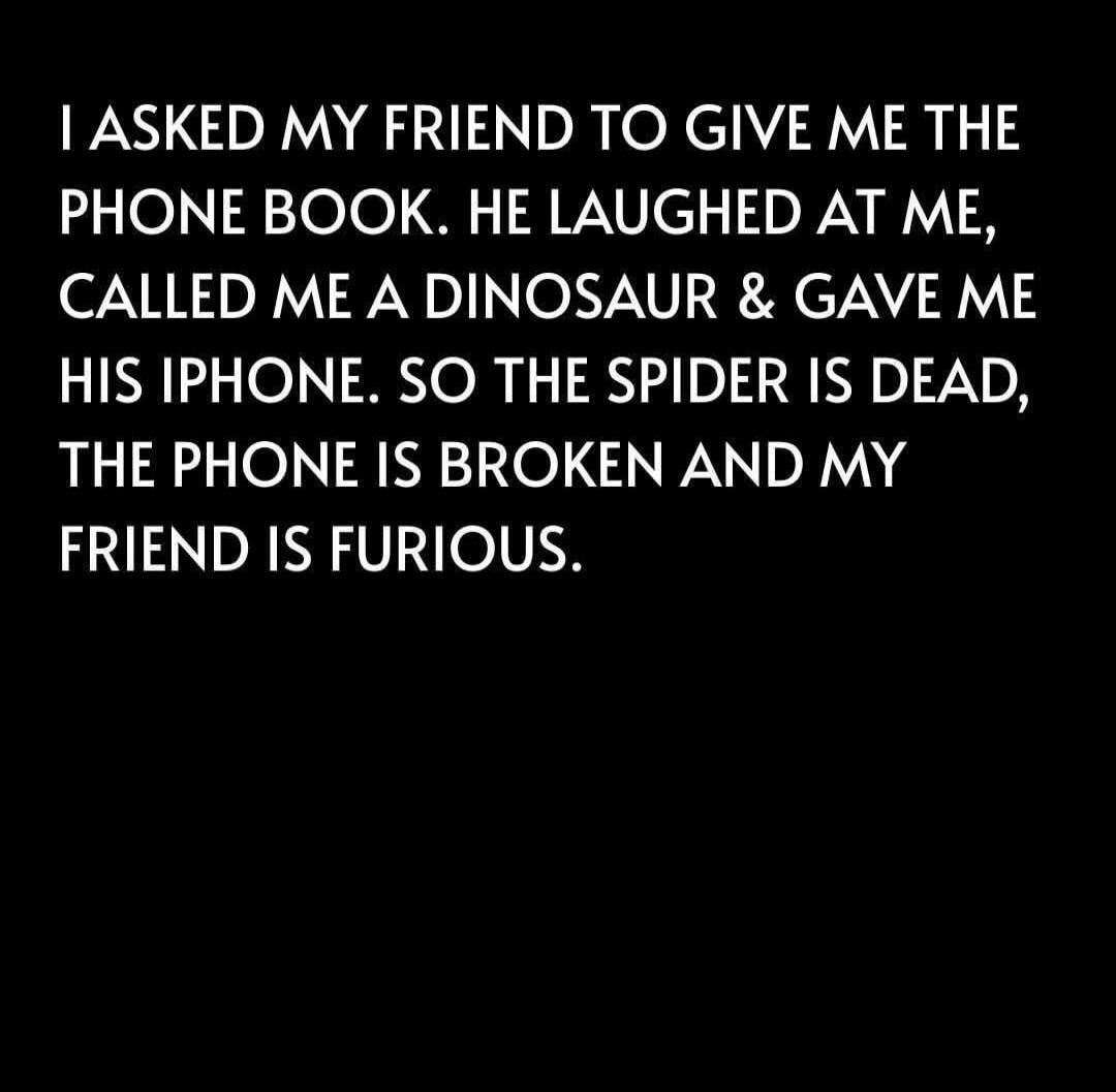 I ASKED MY FRIEND TO GIVE ME THE PHONE BOOK. HE LAUGHED AT ME, CALLED ME A DINOSAUR & GAVE ME HIS IPHONE, SO THE SPIDER IS DEAD, THE PHONE IS BROKEN AND MY FRIEND IS FURIOUS.