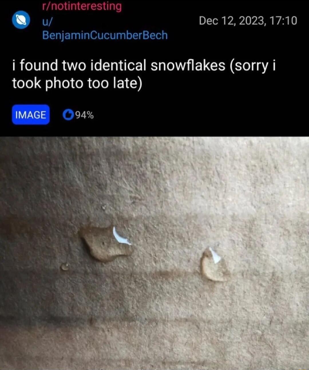 Dec 122023 1710 BenjaminCucumberBech i found two identical snowflakes sorry i took photo too late