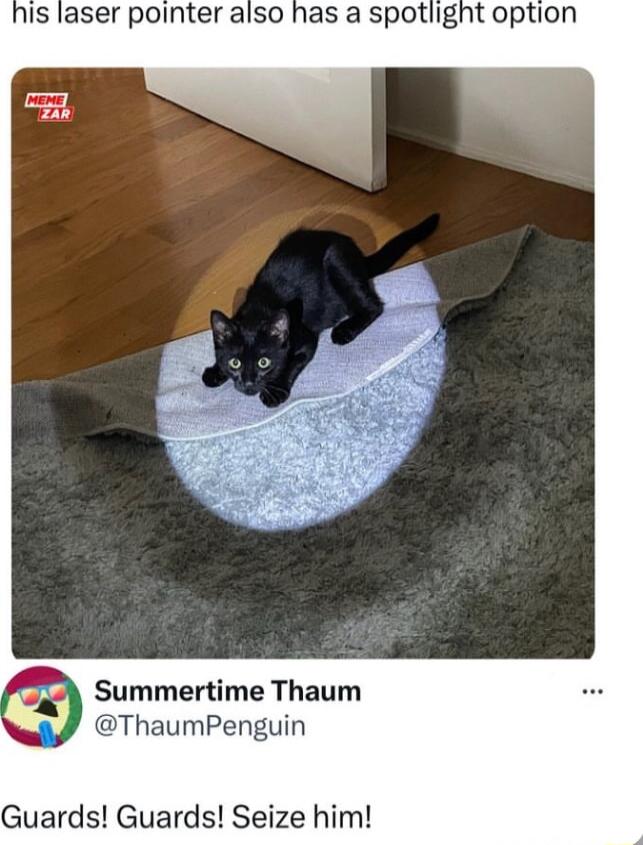 Is laser pointer also has a spotlight option Summertime Thaum ThaumPenguin Guards Guards Seize him