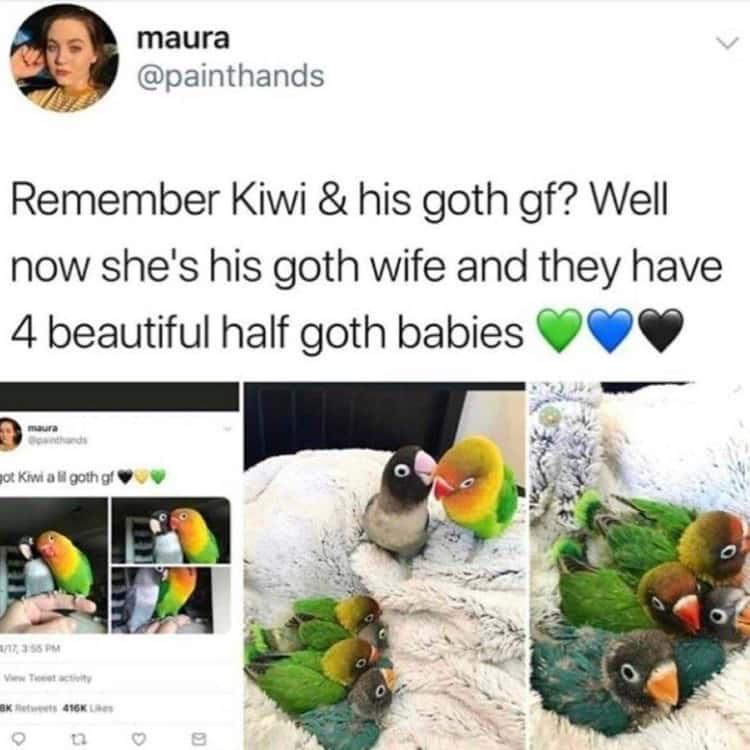 W maura ot painthands Remember Kiwi his goth gf Well now shes his goth wife and they have 4 beautiful half goth babies