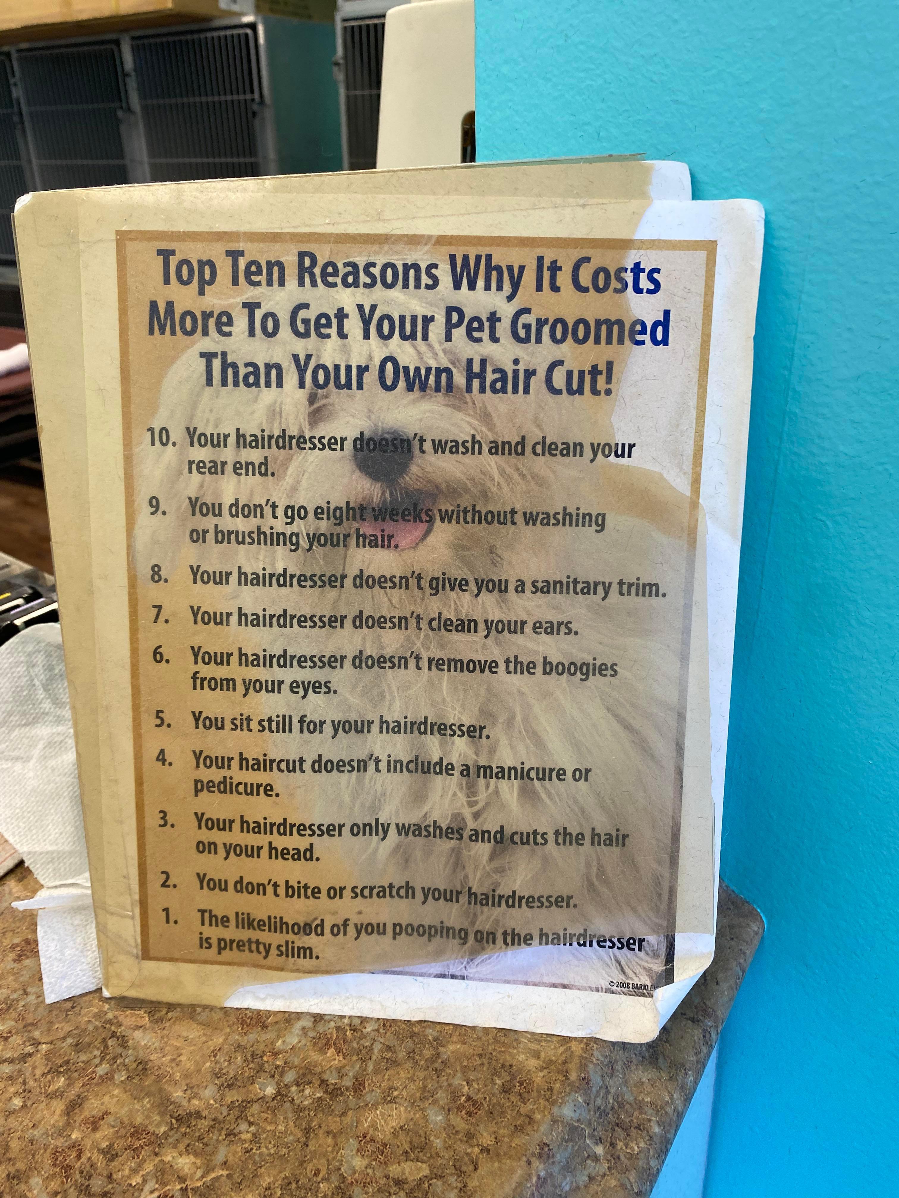 Top Ten Reasons Why it Costs More To Get Your Pet Groomed Than Ygur 0vmHar Cut 10 Yourlrdreiser gt vash and cean your rearend orbrushing el 8 Your haird asanitarytim 7 Yourhairdresser do your ears s annhabdmmrhnlmnlbnwl from your eyes I 5 Youststiforyur i 4 Wm