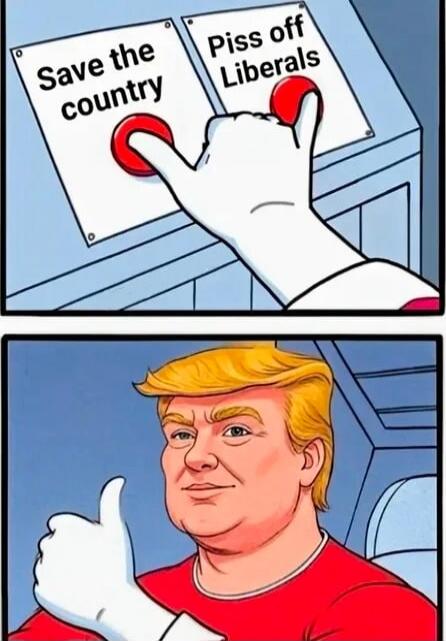 Save the country\nPiss off Liberals
