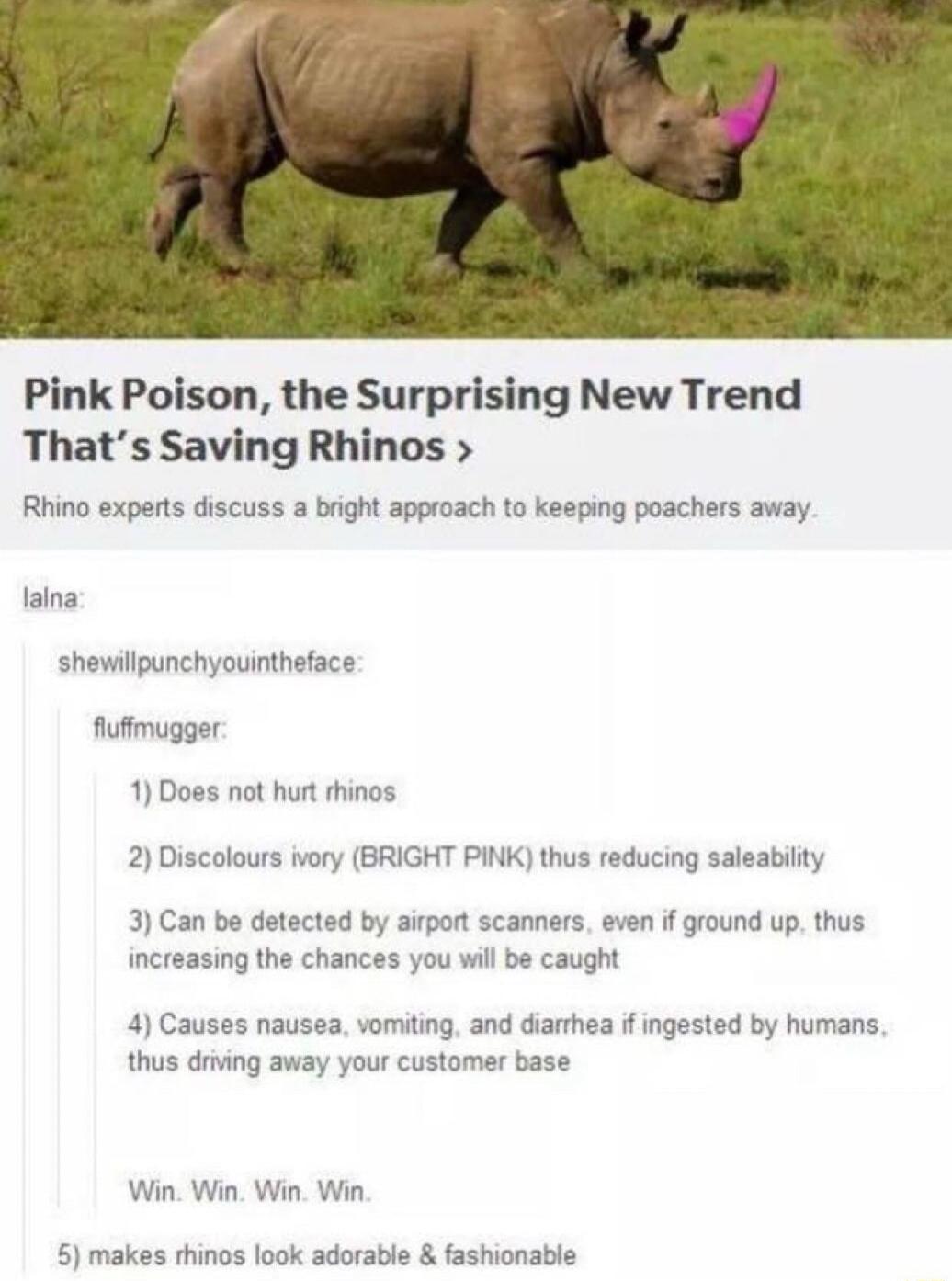 Pink Poison the Surprising New Trend Thats Saving Rhinos Rhino experts discuss a b ping poachers away