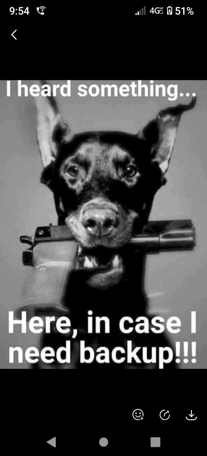 I heard something... Here, in case I need backup!!!