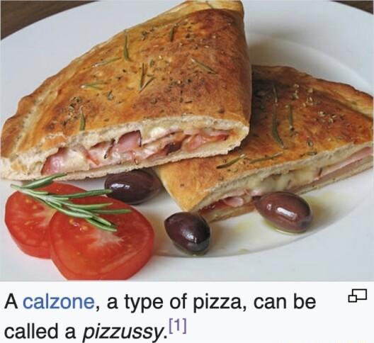 Acalzone a type of pizza canbe 7 called a pizzussy