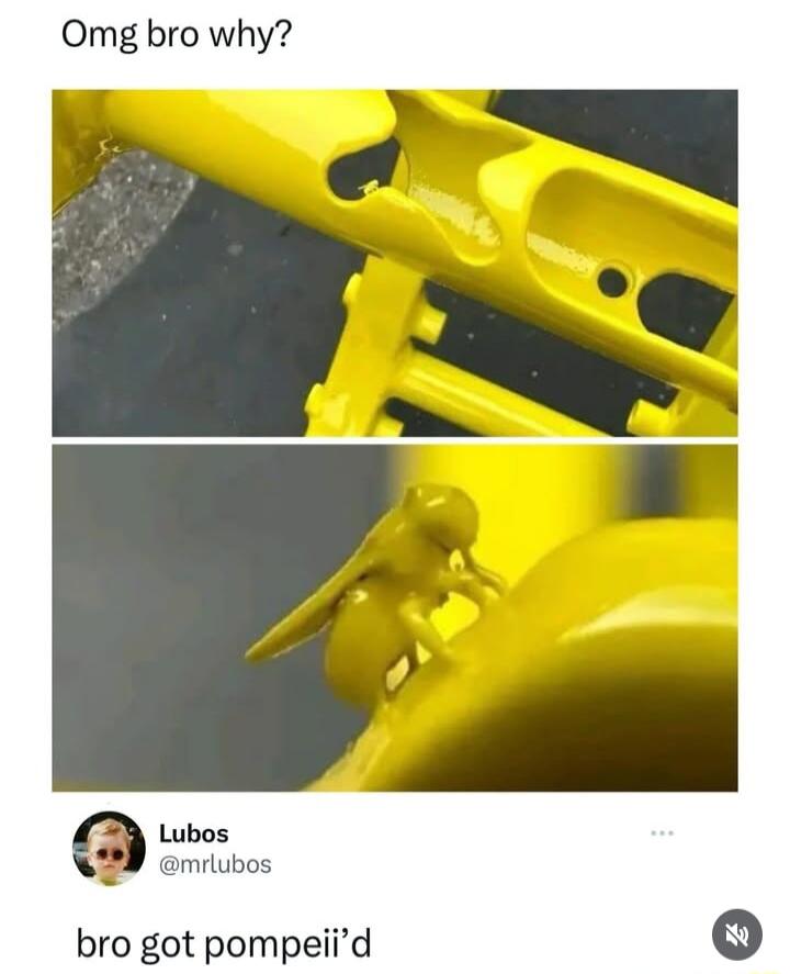 Omg bro why Lubos mrlubos bro got pompeiid