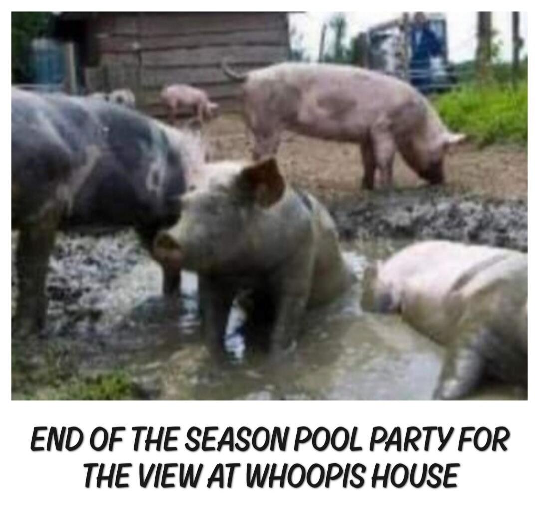 END OF THE SEASON POOL PARTY FOR THE VIEW AT WHOOPIS HOUSE
