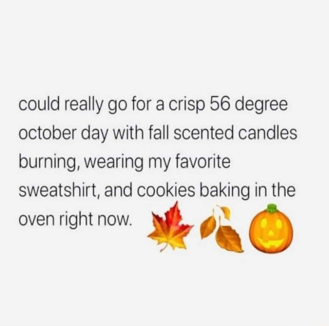 could really go for a crisp 56 degree october day with fall scented candles burning wearing my favorite sweatshirt and cookies baking in the oven right now