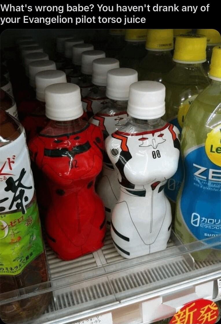 G ECRITT R ET R IV EVEL R T A your Evangelion pilot torso juice